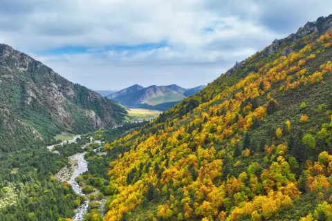 Qilian Mountains Binggou River Scenic Area