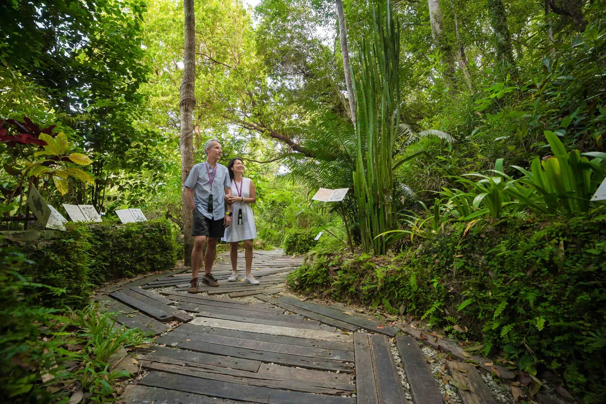 5_Tropical Spice Garden