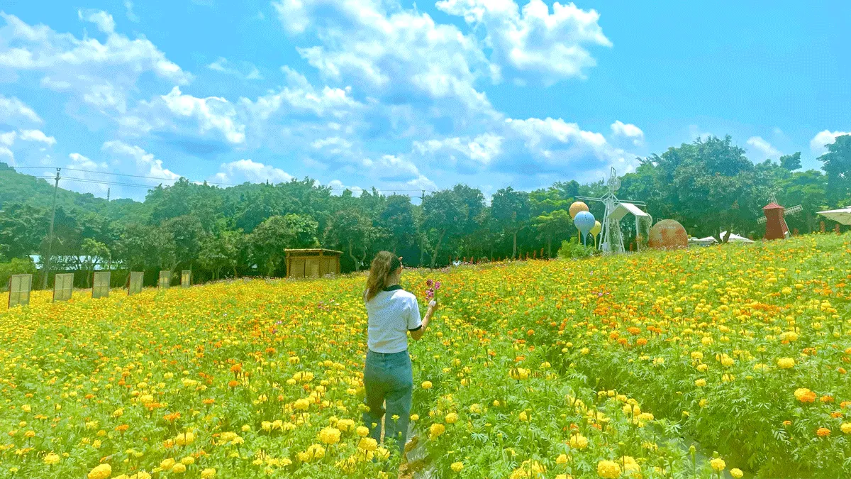 5_光明農場大觀園