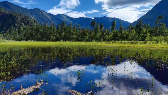Nanyigou Scenic Area