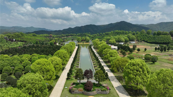 Huaya Panshizhou Forest Garden