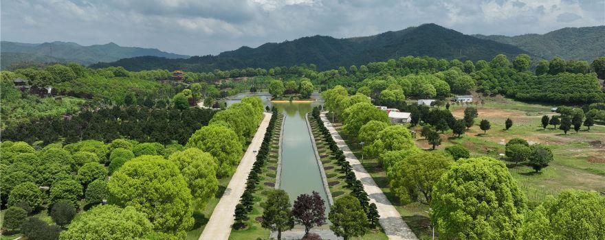 Huaya Panshizhou Forest Garden
