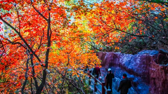 Lawatan sehari ke Taman Pemandangan Gunung Yuntai Henan [Berlepas dari Puyang]