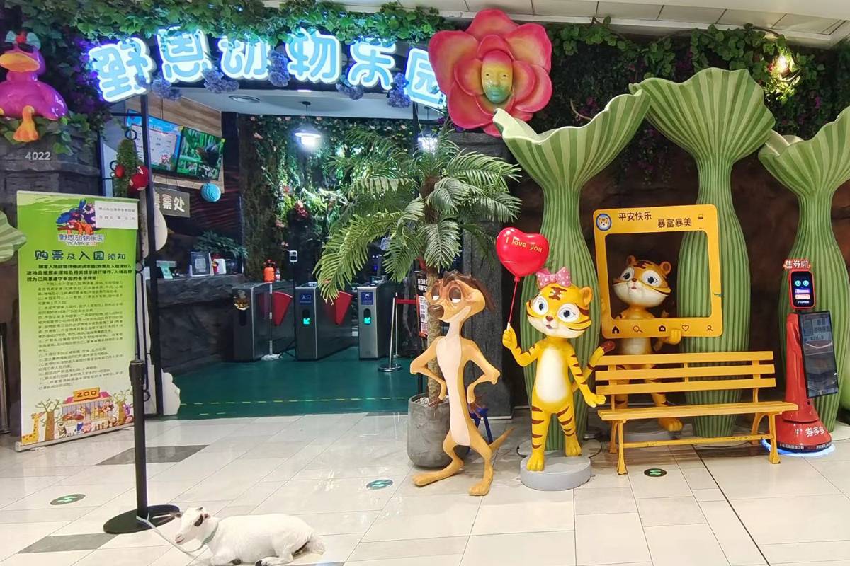 野恩動物樂園(龍崗萬達廣場店)