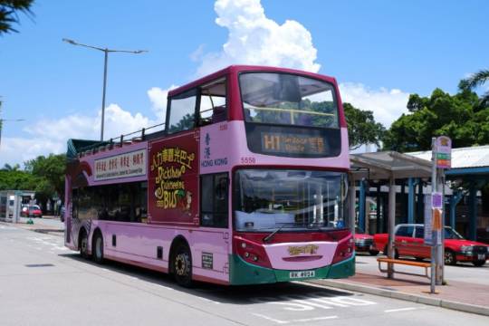 Hong Kong Ferris Wheel + Star Ferry + Man Mo Temple + Moro Street + Lan Kwai Fong Half-day Tour