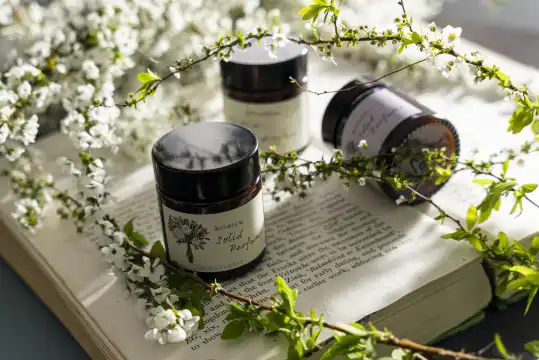 鄰近静冈赤尾香草與玫瑰園的酒店