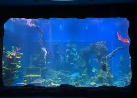 湖北交投海昌海洋探索館