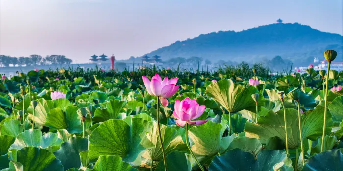 黿頭渚 image 2