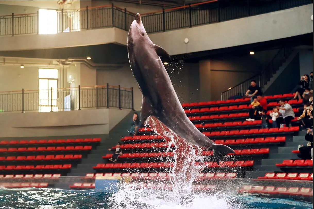 4_Zhengzhou Aquarium