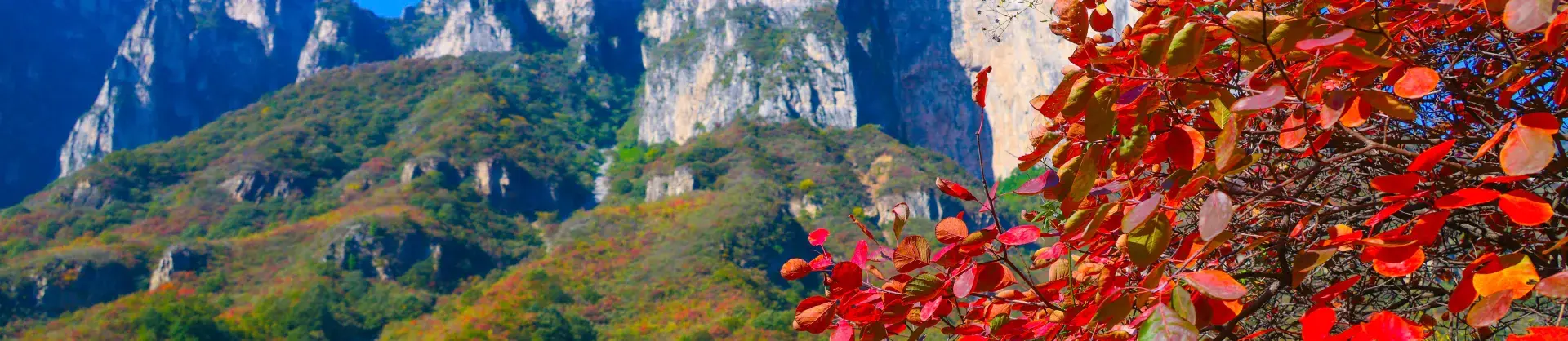 Fall Viewing Attractions