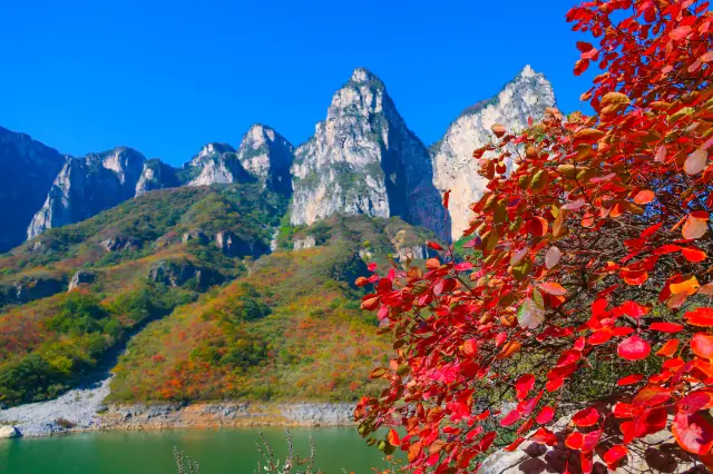 Fall Leaves Viewing in Jiaozuo