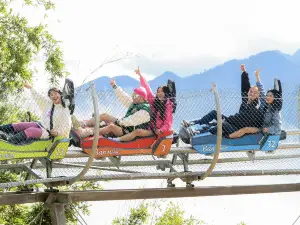 Alpine Coaster Sa Pa