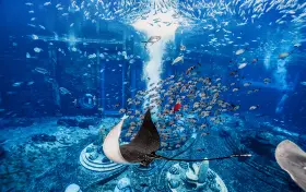 The Lost Chambers Atlantis