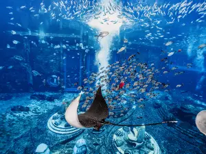 The Lost Chambers Atlantis