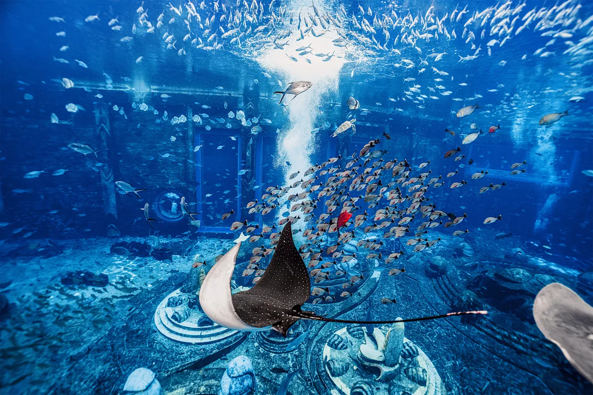 2_亞特蘭蒂斯失落的空間水族館