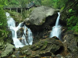 Mangshan Tourist Area
