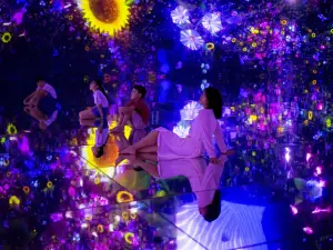 豐洲teamLab Planets TOKYO美術館