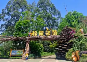 Chengdu Squirrel Tribe