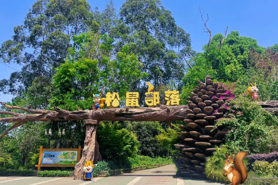 Chengdu Squirrel Tribe