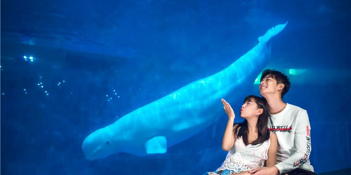 Penglai Polar Ocean World