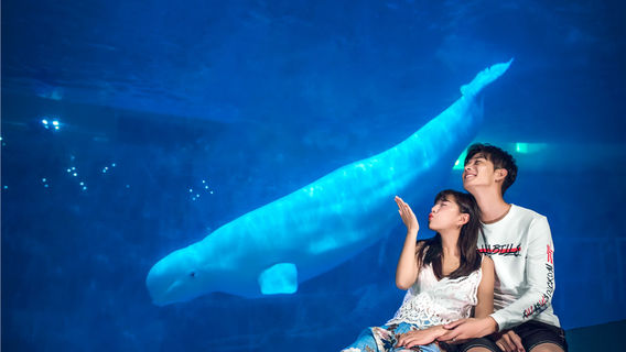 Penglai Polar Ocean World