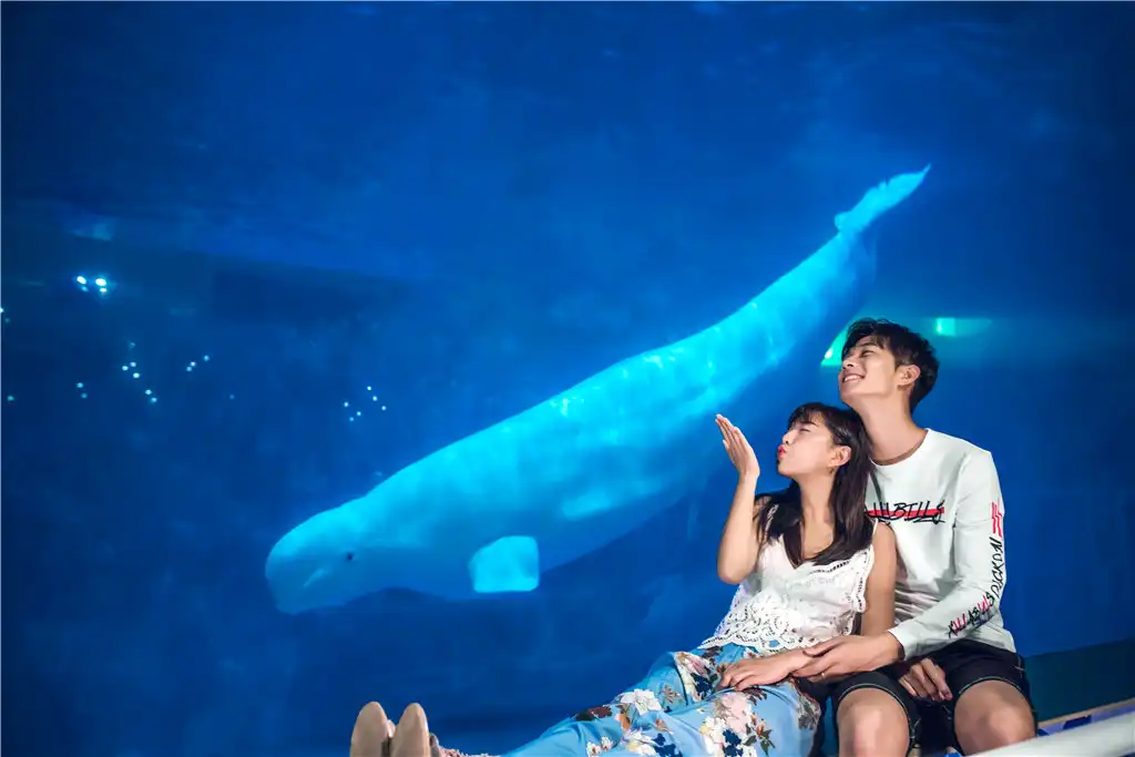 Hotels near Penglai Polar Ocean World