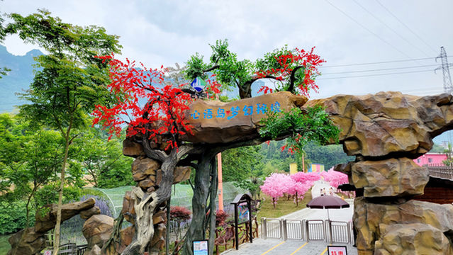 Xin Yu Dao Meng Huan Mi Jing