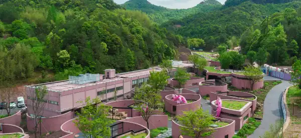 Hotels in Jinyun
