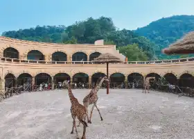 三峽長頸鹿樂園