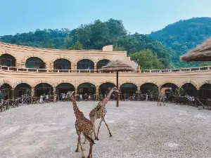 Three Gorges Giraffe Park