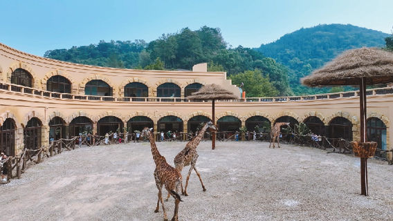 Three Gorges Giraffe Park