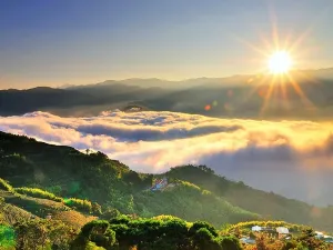 Alishan National Forest Recreation Area