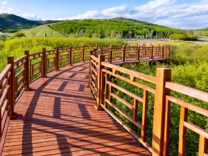 Yangchang River Wetland Scenic Area