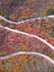 Zibo Lushan National Forest Park