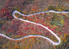 Lushan National Forest Park