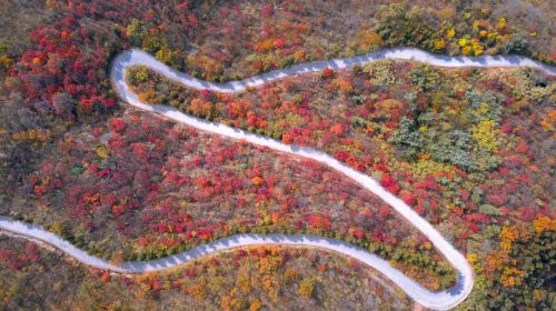 Lushan National Forest Park