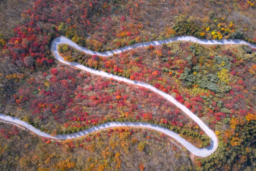 노산국가삼림공원