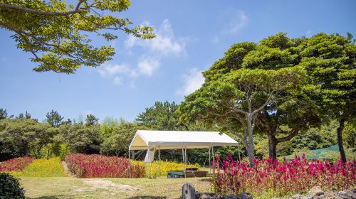 Jeju Folk Village