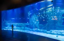 Lotte World Aquarium Hanoi