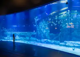 Lotte World Aquarium Hanoi