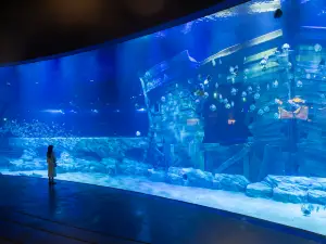 Popular Family-Friendly Attractions in Hanoi