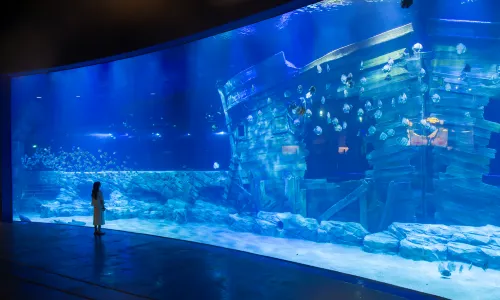 Thủy Cung Lotte World Hà Nội