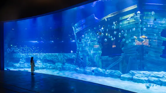 Lotte World Aquarium Hà Nội