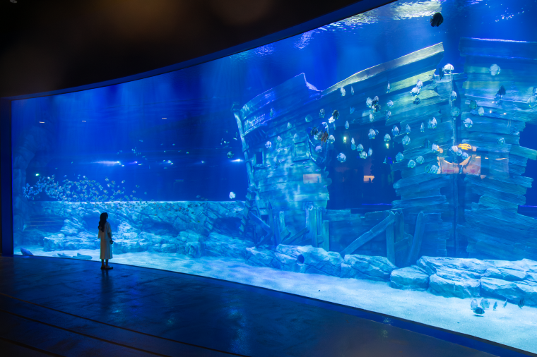 Lotte World Aquarium
