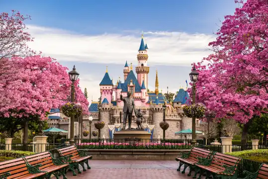 Hotels near Disneyland Park California
