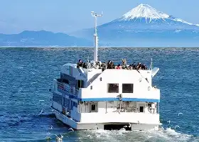 Shimizu Harbor Bay Cruise