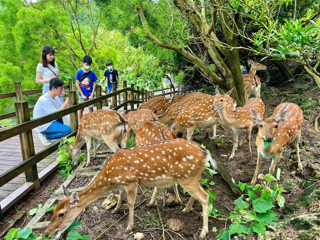 4_高雄市壽山動物園