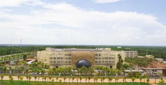 Coconut Kingdom