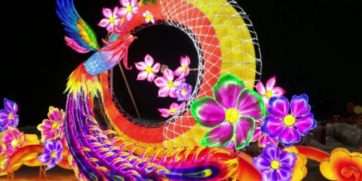 大庆2026首届游园灯会