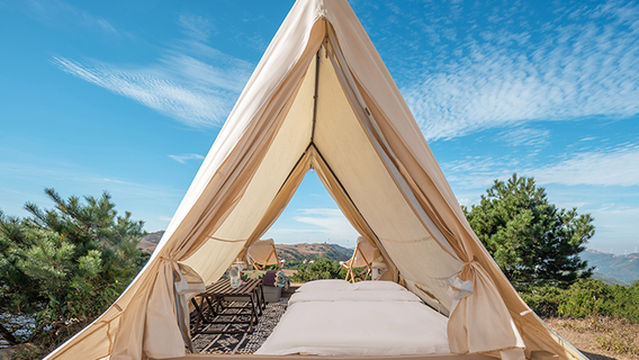 yang tian hu da cao yuan yun ye ying di